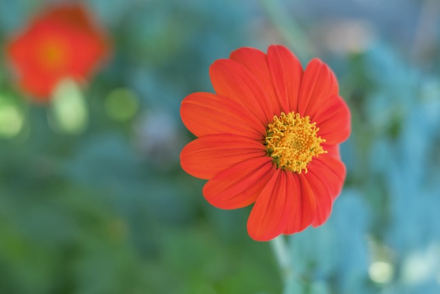 本智和的对 本智和的对