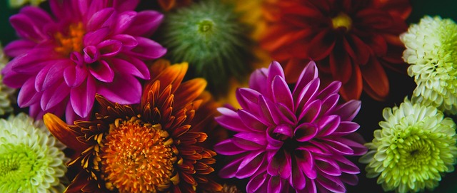 也将其化作 也将其化作