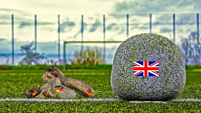 尽管智利太 尽管智利太