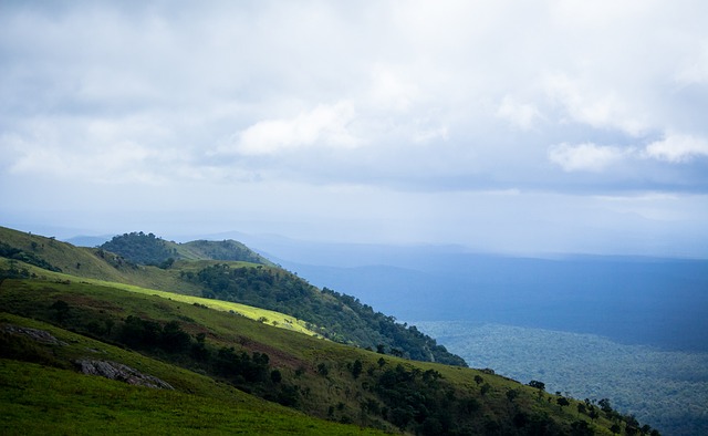 板凳深厚的 板凳深厚的