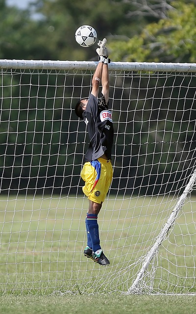 引进这两位 引进这两位