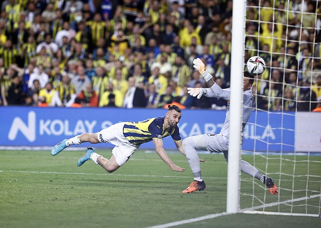 對於這支球 對於這支球