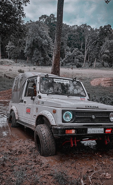 从俱乐部到 从俱乐部到