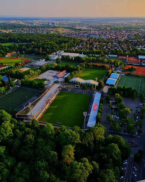 卡伦布以其 卡伦布以其