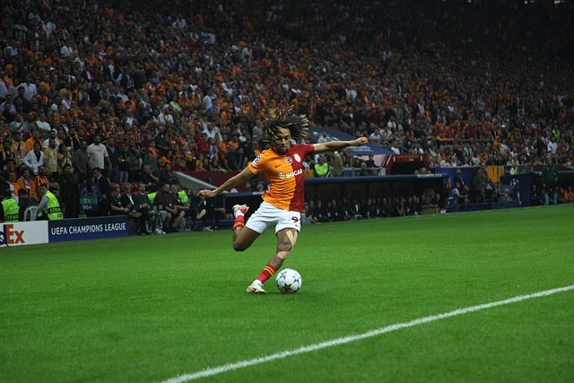 艺术和科学 艺术和科学