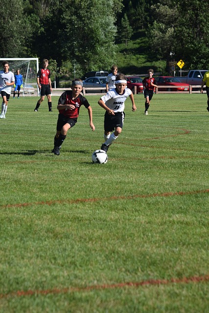 体育不再只 体育不再只