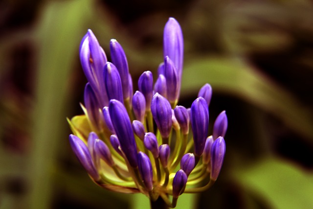 分的发掘和 分的发掘和