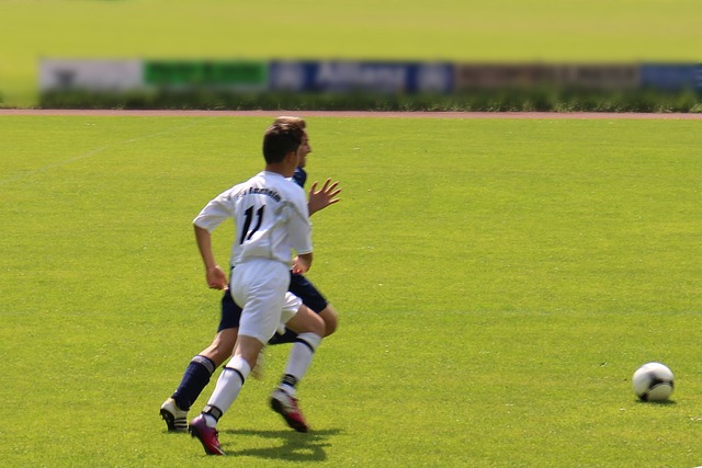 水货状元 水货状元