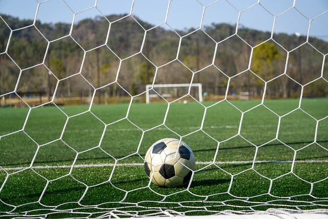 进行球队重 进行球队重