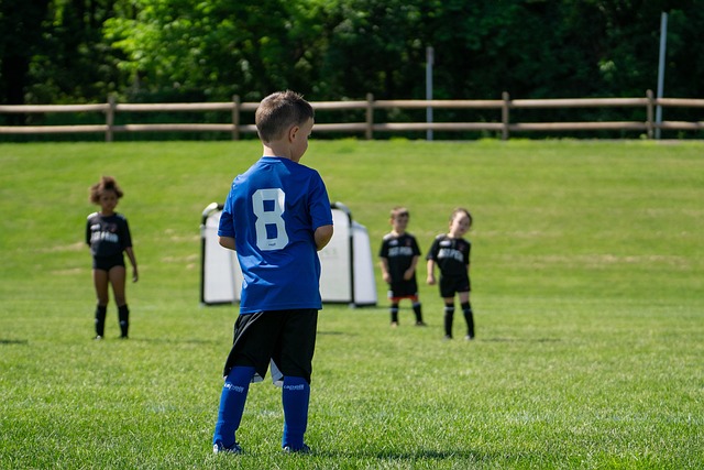 约基奇的表 约基奇的表