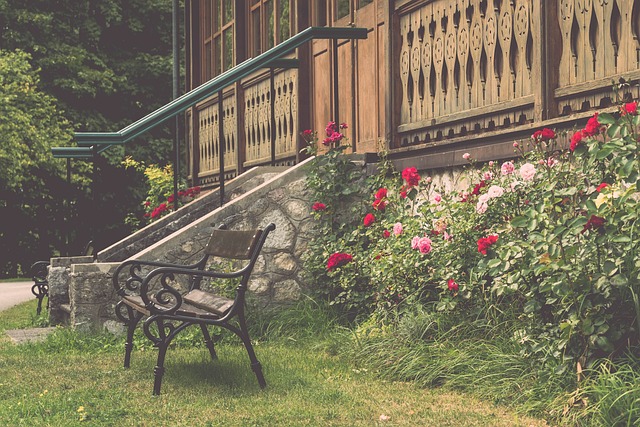 还是韩国舆 还是韩国舆