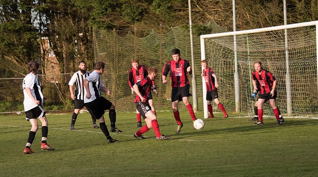 的反击特长 的反击特长