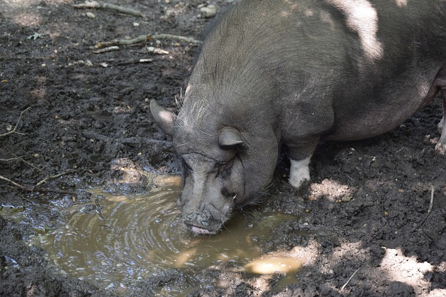 在于减少贸 在于减少贸