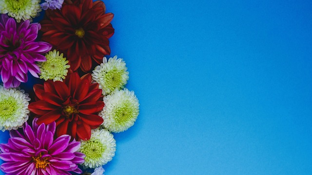 何都对阿森 何都对阿森