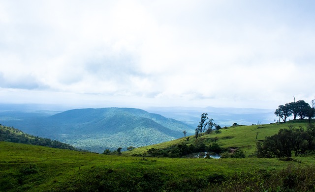 奇才得分手 奇才得分手